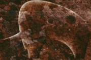 Vlado Franjevic: Mammutlesung 2012