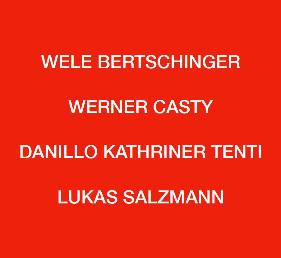 Werner Casty, Wele Bertschinger, Danillo Kathriner Tenti, Lukas Salzmann: Gruppenausstellung