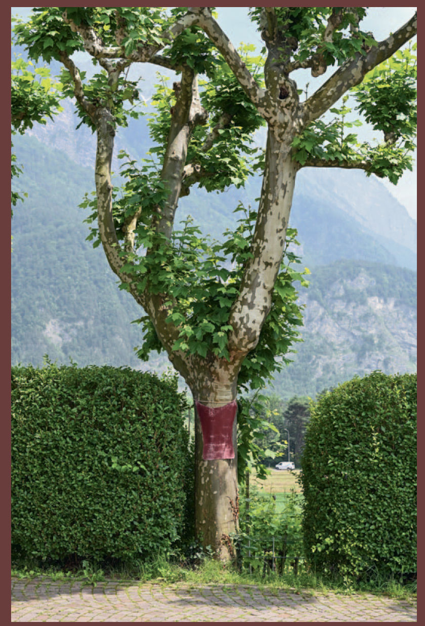 Hanni Schierscher: INNEN UND AUSSEN II