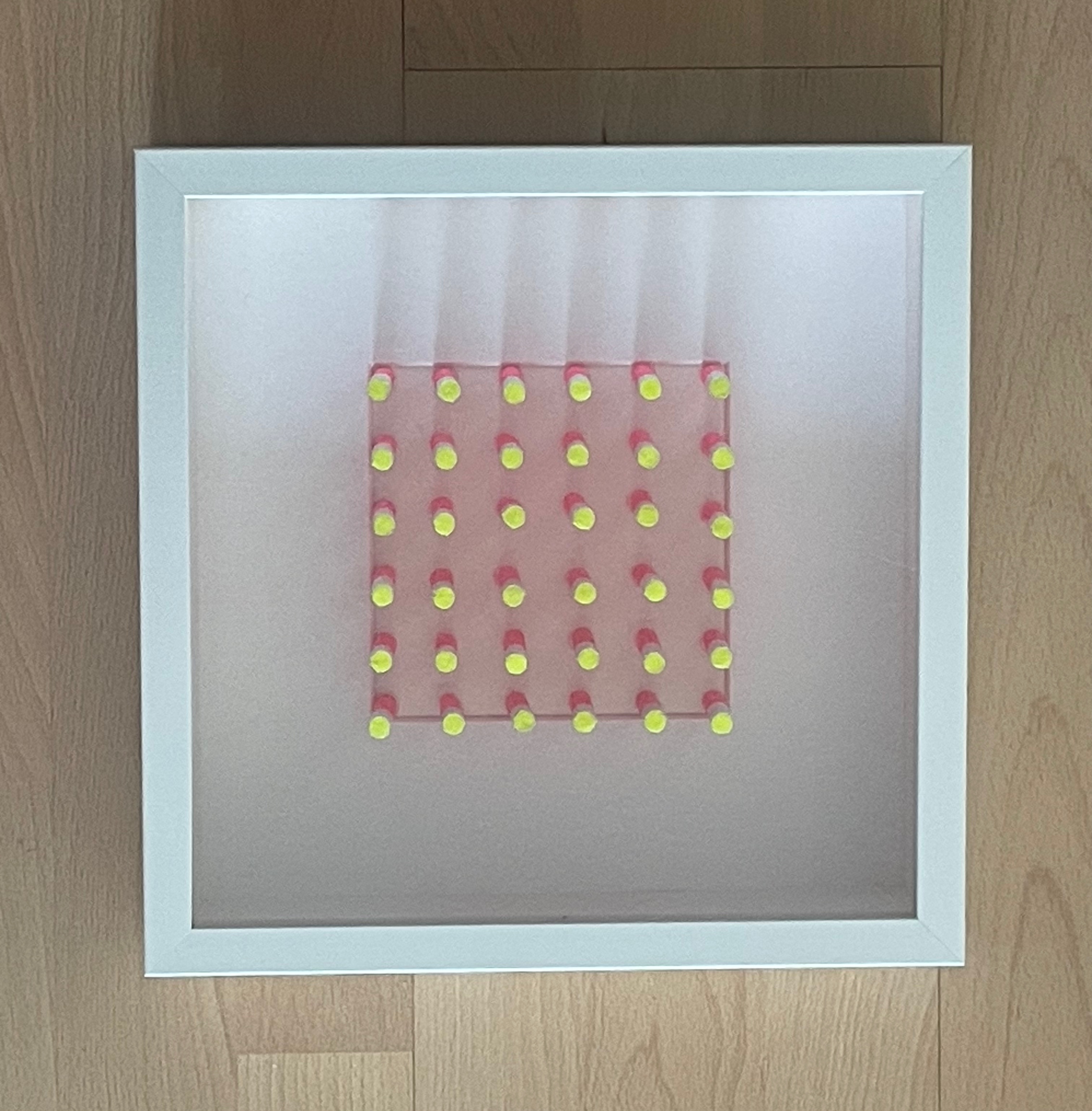 Ursula Wolf: REIZ DER MATERIE